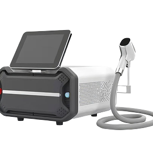Lefis Portable 1000W